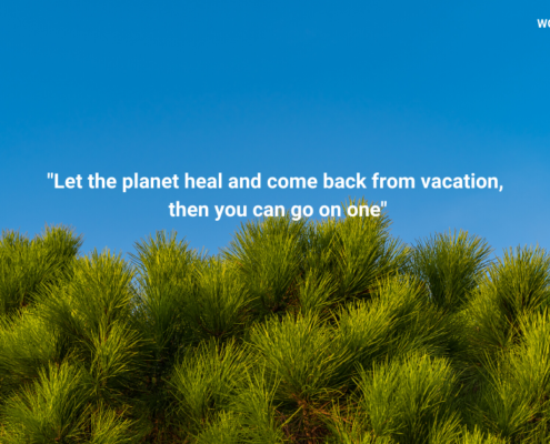 A picture of green trees lined in the background of a clear blue sky. On the picture are the words,‘Let the Planet heal and come back from vacation. Then you can go on one.’
