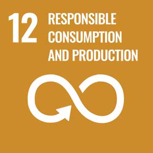 Symbol of Goal 12 Responsible Consumption And Production of the SDG2030 with sunset yellow background